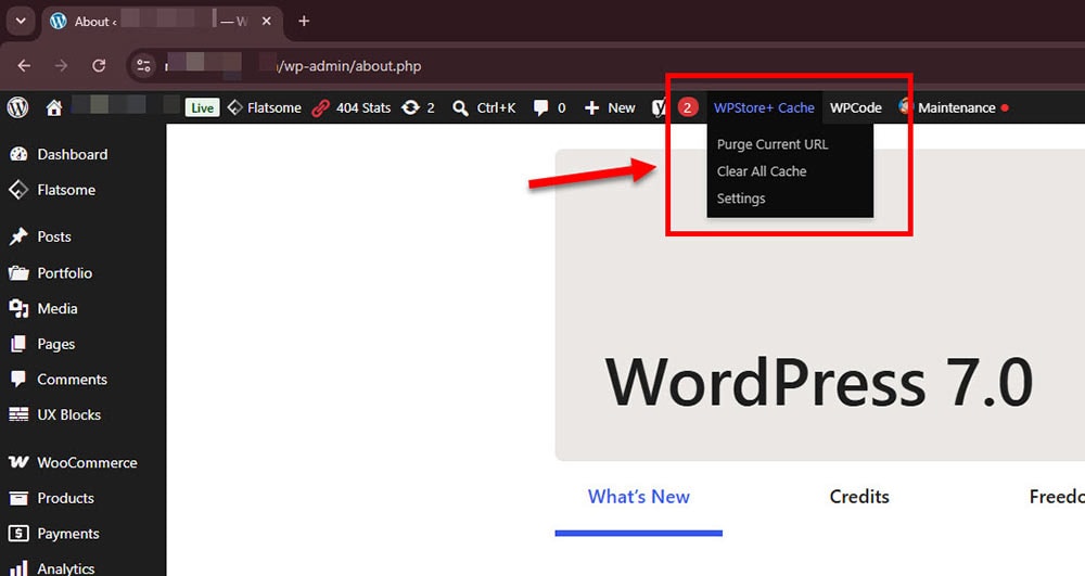 WPStore+ Cache Optimizer dashboard with cache status, diagnostics, clear cache buttons, preload tools, and WooCommerce-safe cache information.
