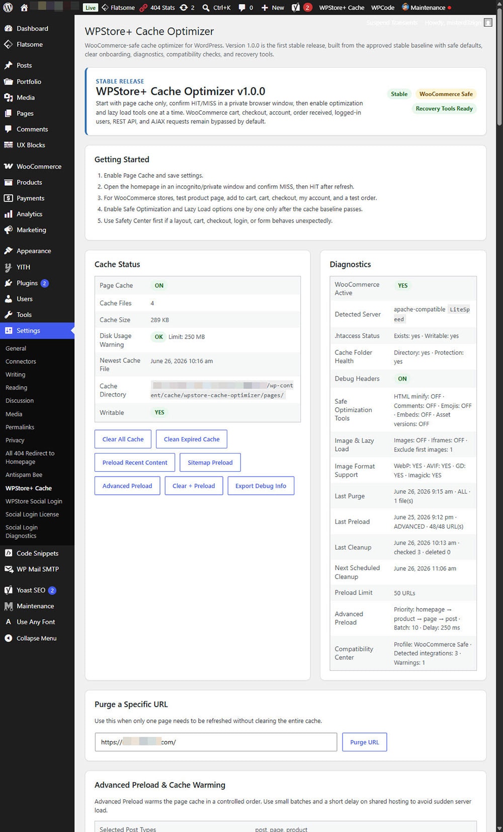 WPStore+ Cache Optimizer browser cache rules assistant showing Apache LiteSpeed htaccess rules and Nginx cache configuration examples.
