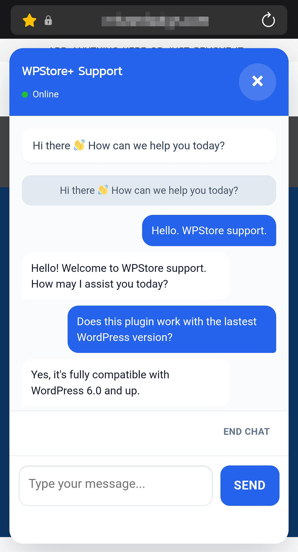 WPStore+ Live Chat Desk customer chat conversation view on mobile