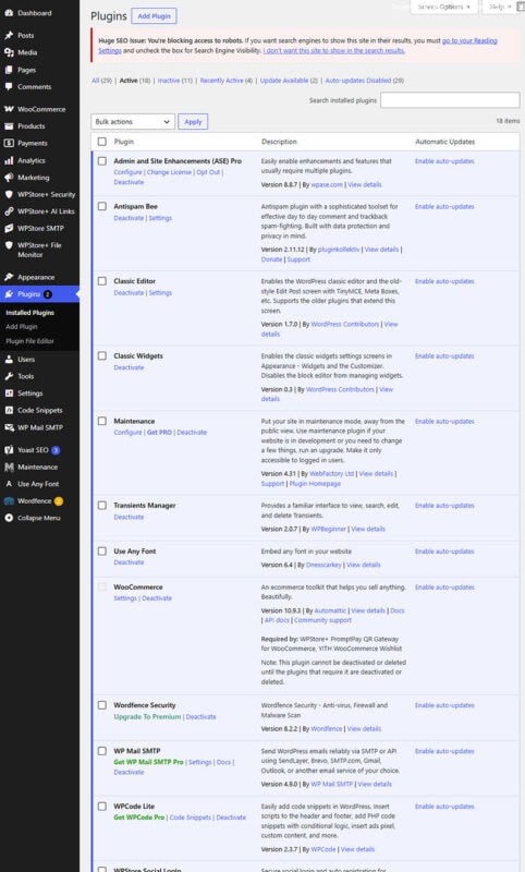 Screenshot of the WordPress Plugins page showing active plugins, update notices, and plugin management options used for troubleshooting common WordPress errors.