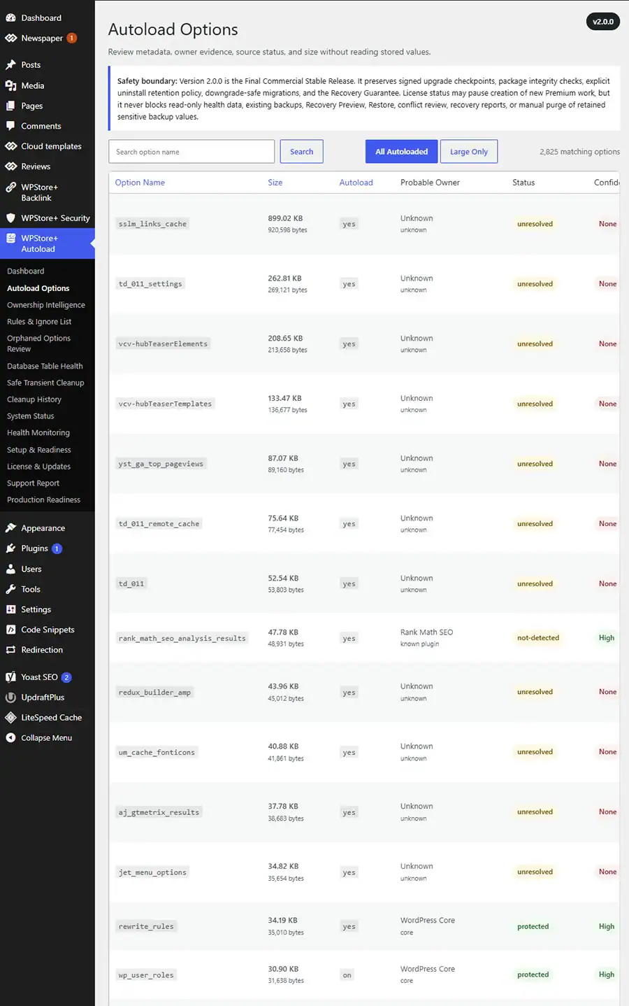Autoload Options table showing option names, sizes, autoload states, probable owners, confidence levels, evidence, and health assessments.