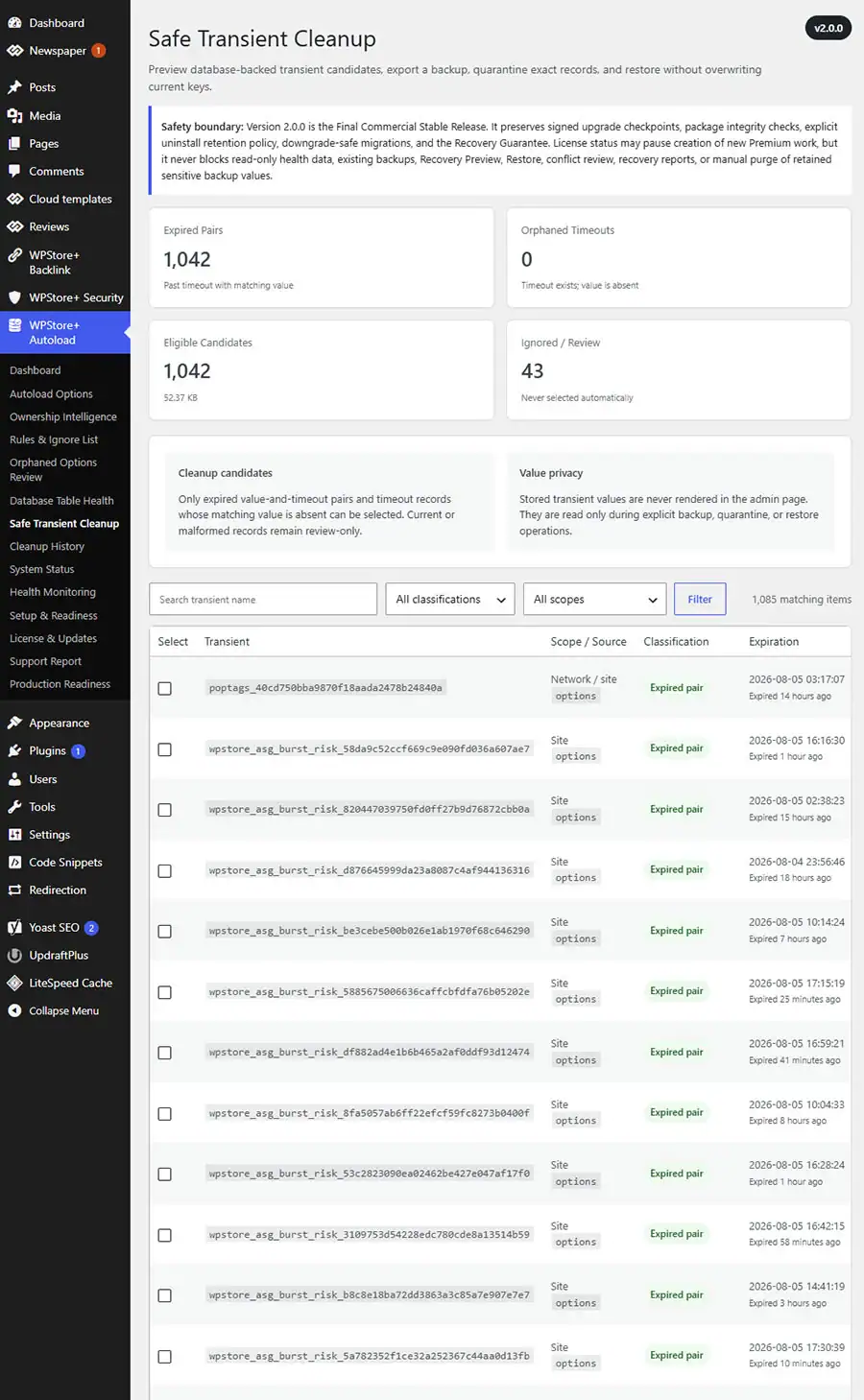 Safe Transient Cleanup scanner showing eligible expired transient pairs, orphaned timeouts, active records, and protected review-only items.