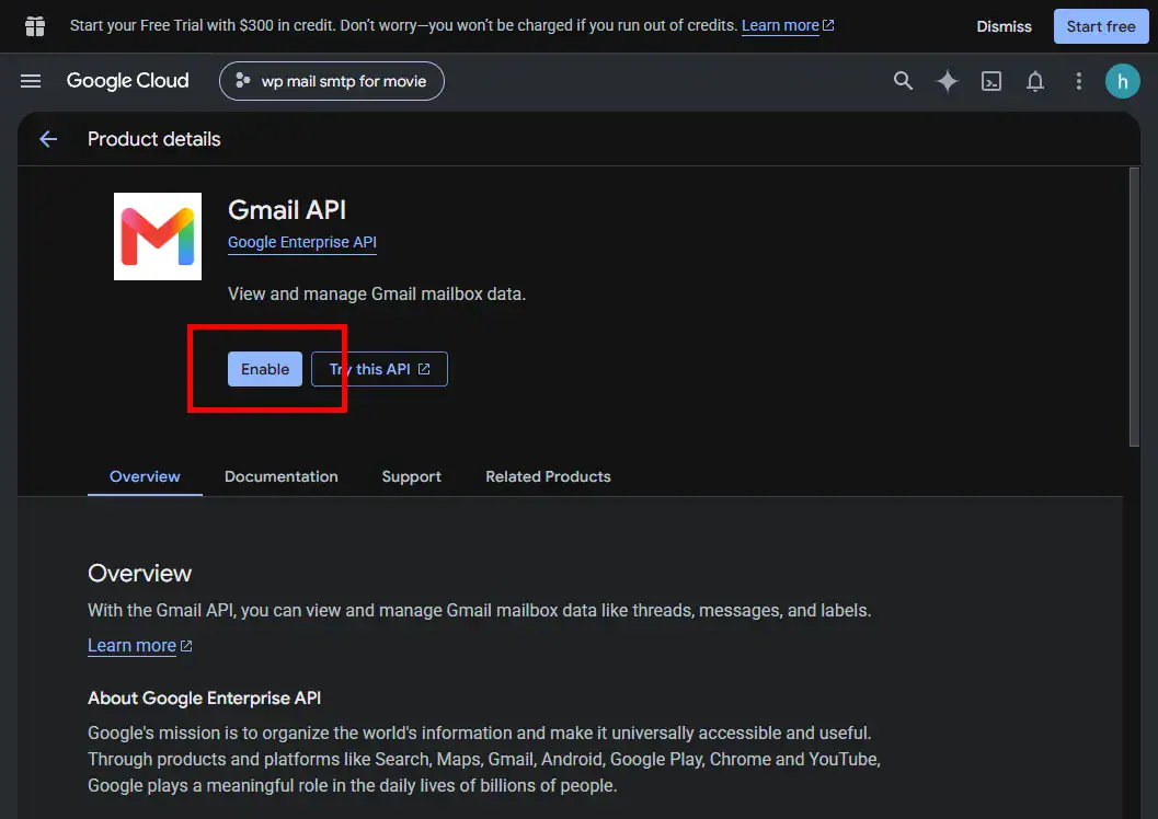 Enable Gmail API